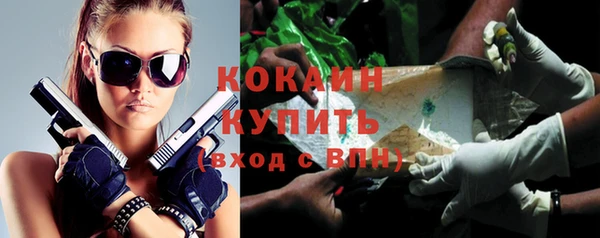 крисы Дмитриев