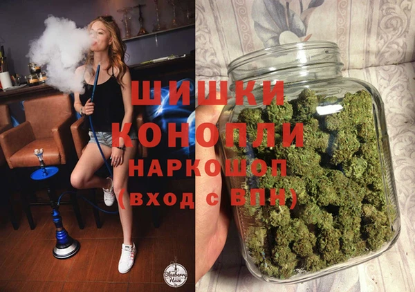 PSILOCYBIN Алексеевка