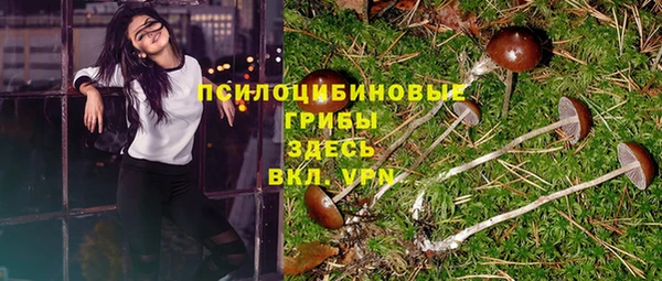 твердый Алзамай